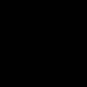 Meet your Posher, Bella